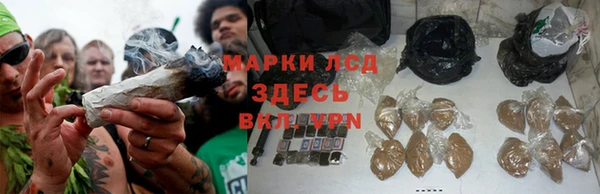 мяу мяу мука Алексин