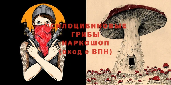 ешки Алзамай