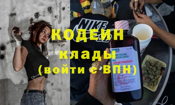 ешки Алзамай
