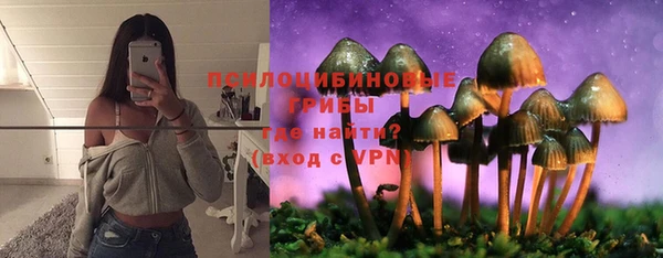 мяу мяу мука Алексин