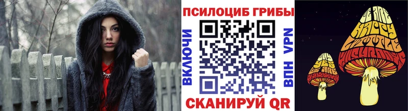 Псилоцибиновые грибы мицелий  Навашино 